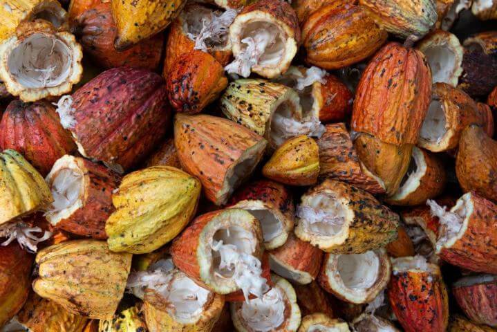 Health Benefits of Cacao: The Complete Guide
